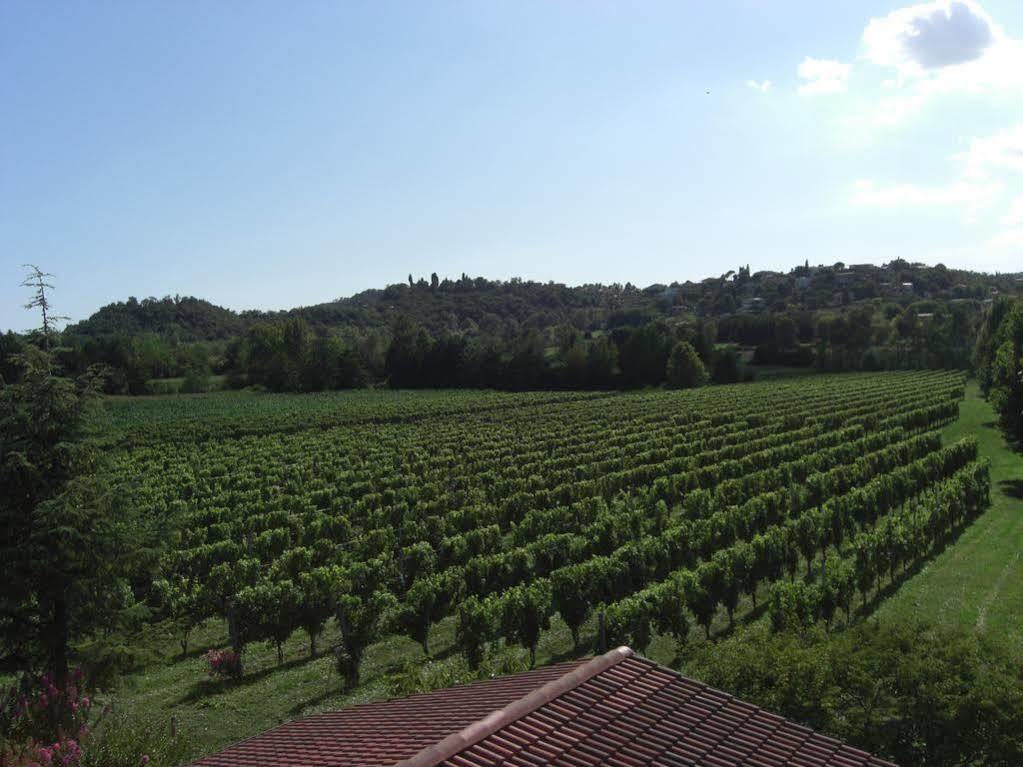 Il Vigneto Affittacamere Country house